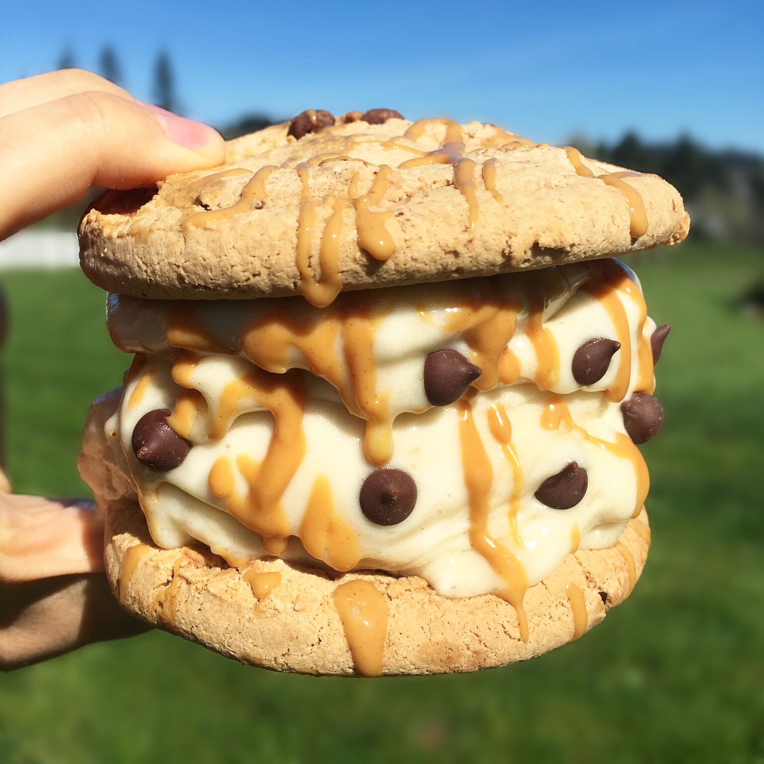 Peanut Butter Cookie Ice Cream Sandwich Made with Smartfruit
