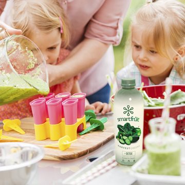 Smoothie Mix Manufacturers for Deceptively Delicious Kid Friendly Fare Lifestyle 11
